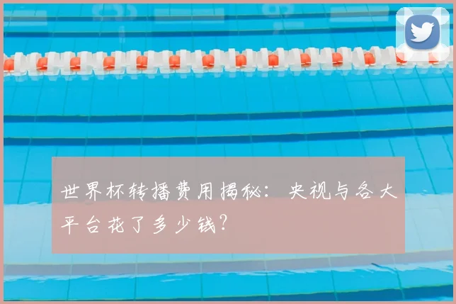 世界杯转播费用揭秘:央视与各大平台花了多少钱?